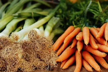 Ingredienti freschi del Trentino