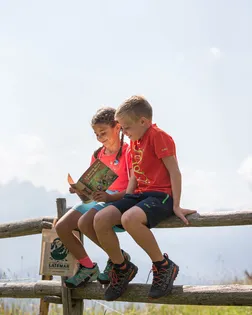 Bambini seduti su siepe