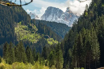 Primavera val di fiemme