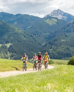 Mountain bike val di fiemme
