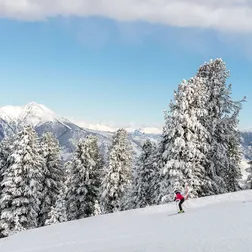 Neve fresca cermis val di fiemme