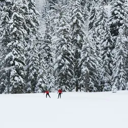 Nils rasmusson l Y Dk Qag7 M1 M unsplash