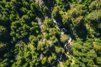 Torrente val di fiemme