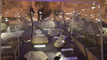 Museo geologico delle Dolomiti a Predazzo